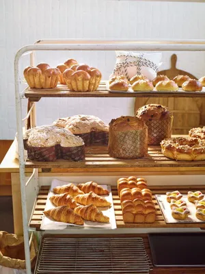 Argenta General Soft