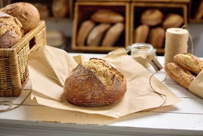 Sapore Traviata Kovász